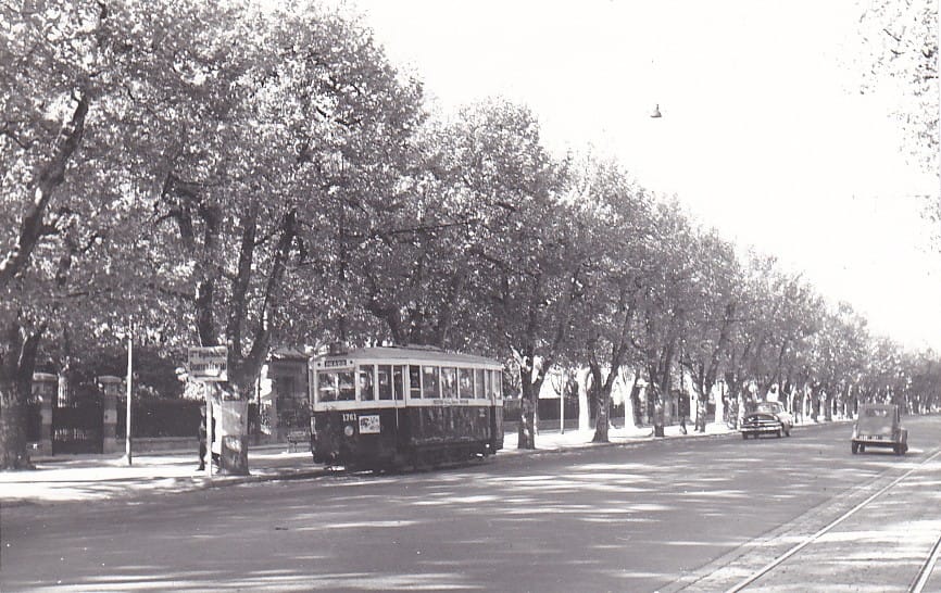 L’avenue du Prado